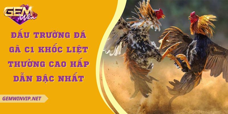 Đấu Trường Đá Gà C1 Khốc Liệt Thưởng Cao Hấp Dẫn Bậc Nhất