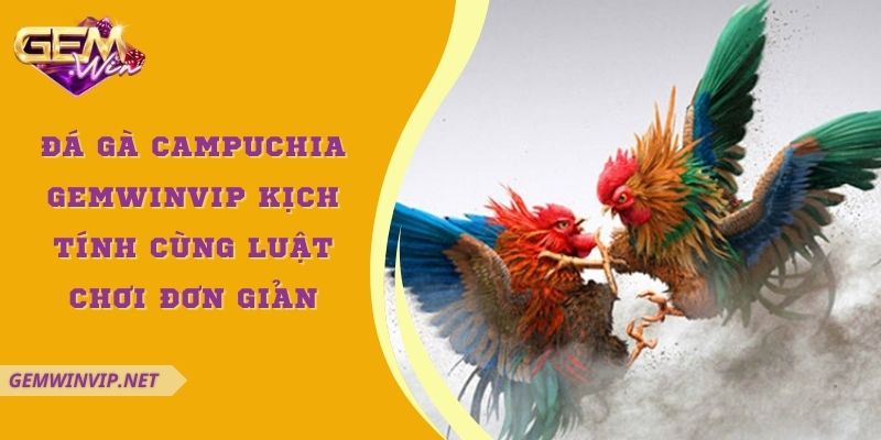 Đá gà Campuchia Gemwin kịch tính cùng luật chơi đơn giản